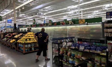 Walmart Frozen Section Down